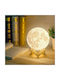 ACP Decorative Lamp Moon Light with Socket for Bulb E14 Multicolour