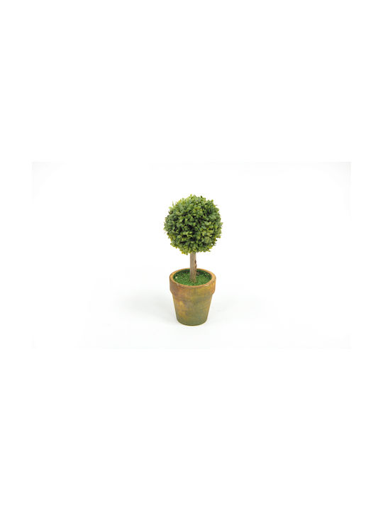 Mini Potted Boxwood Ball 15cm X 6cm St12-t314 0532023