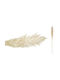 Pampas Ecru 140cm 0516198 6 Pieces