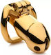 Xr Brands Exclusive 18 Karat Gold Cock Cage