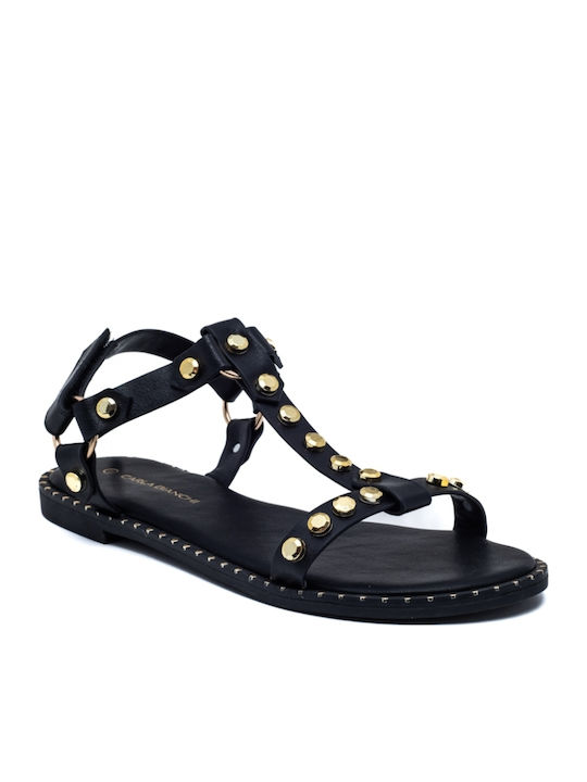 Women's Flat Sandals in Black Color