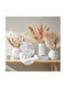 Florista Pampasgras 70cm Natur Kunststoff