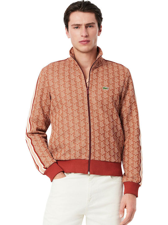 Lacoste Paris Herren Jacke Brown-beige
