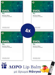 Eviol Mg Magnesium 350mg 4x30 Kapseln