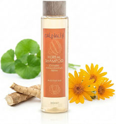 Calinachi Shampoos gegen Haarausfall 300ml