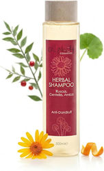 Calinachi Shampoo Gegen Schuppen 300ml