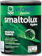 Vechro Smaltolux Hydro Master Αστάρι 0.75lt