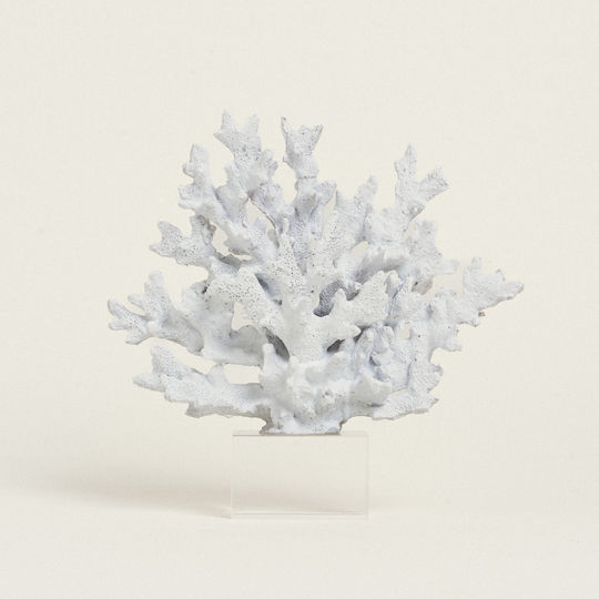 Beauty Home Κοραλι Λευκο Βαση Plexi Glass 24 X 24 Cm