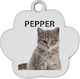 Ταυτότητες Κατοικίδιων Προσωπ Νες Pepper