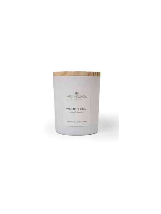 MeliMpampa Aromatic Soy Candle in Jar with Woodforest Scent 150g