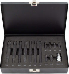 Set Biți Ribe 14 Buc Kroftools