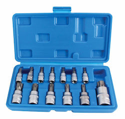 Set de Chei Torx T8-T60 13 Piese Set de Chei Torx T8-T60 13 Piese