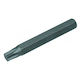 Bit Lung Torx T45