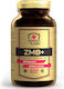 Immune-Labs ZMA Zinc Magnesium with Vitamin B6 120 Capsules