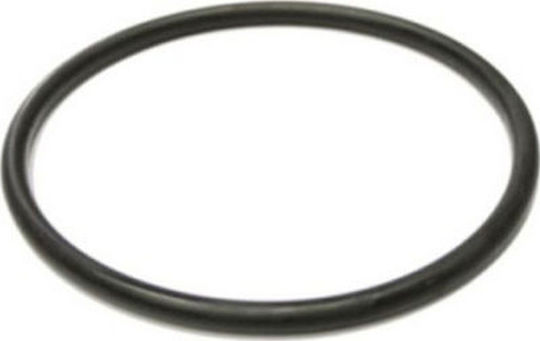 Replacement Gasket for Main Line Water Filters Mignon Plus Atlas Filtri
