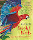 Bright Birds And Their Brilliant Brains Kate Read Two Hoots