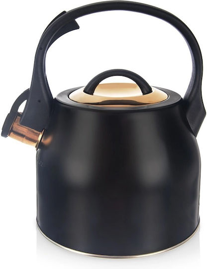 Orion Fierbător Inoxidabil Negru 3000ml