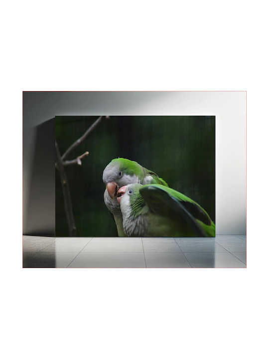Πίνακας Pair Parrots In Nature Ζευγάρι Παπαγάλων Στη Φύση 90x60