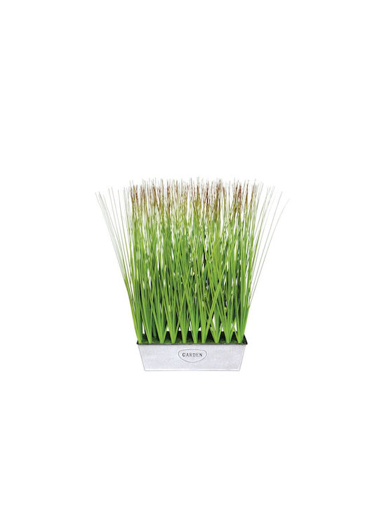 Grass Plants in Metal Planter 30x10x50cm 2/8kib...