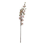 Dekorativer Zweig Pesco 80 cm Arpimex Srl Arp-a...
