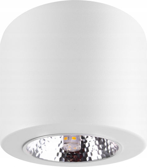 Einzel LED Spot mit Fassung G9 in Weiß Farbe