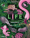 Life The Wild Wonders Of Biodiversity Jennifer N R Smith 0408