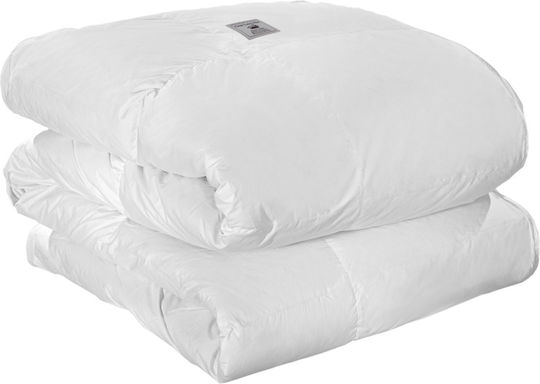 Guy Laroche Queen 220x240cm Pristine White