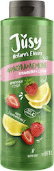Concentrated Juice Strawberry - Lemon 1000ml 1pcs Concentrated Juice Strawberry - Lemon 1000ml 1pcs