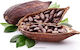 Cocoa Seeds Raw Cacao Beans Raw Organic Healthtrade 500g