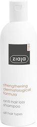 Ziaja Σαμπουάν κατά της Τριχόπτωσης 300ml Ziaja Σαμπουάν κατά της Τριχόπτωσης 300ml