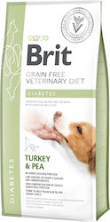 Brit Diabetes Brit Diabetes