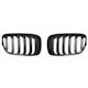 Car Decorative Mask BMW F20 / M1