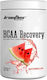 Ironflex Nutrition Bcaa Recovery 500gr Watermelon
