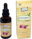 HealthTrade Εχινάκεια 50ml