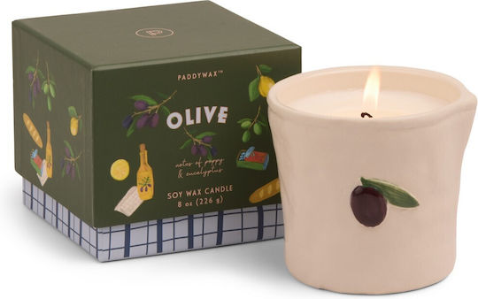 Фиг и маслина растителен восък 226g керамичен буркан бистро маслина Paddywax