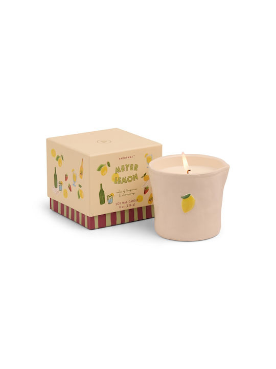 Meyer-Zitrone Pflanzenwachs 226g Keramikglas Bistro Zitrone Paddywax
