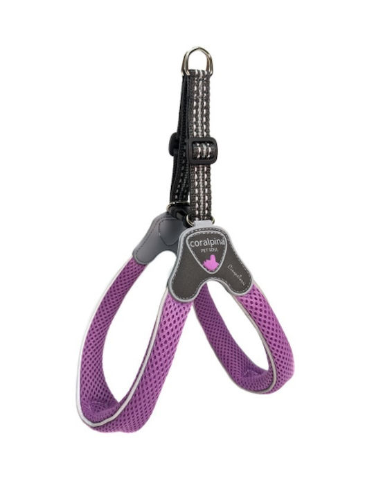 Coralpina Cinquetorri Harness Size 6 7-10kg