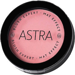 Astra Make Up Експерт Руж 01