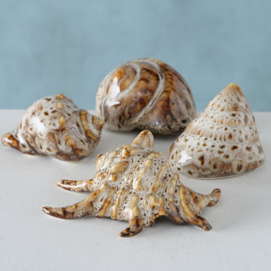 Shells Διακοσμητικά Κοχύλια Πορσελάνης 4 Τμχ Shells Διακοσμητικά Κοχύλια Πορσελάνης 4 Τμχ