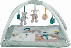 FreeOn Free2play Max Bear Γυμναστήριο για 36+ Μηνών