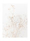 Poster Dry Flower Pst2588 60cm X 90cm
