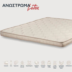 KS Kouppas Latex Biocotton Latex