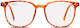 Rojas Joyous Tortoise