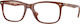 Vogue Transparent Brown 5617