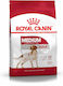 Royal Canin Medium Adult 3kg Trockenfutter für erwachsene Hunde mittlerer Rassen mit Geflügel, Fleisch und Schweinefleisch