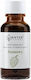 Natur Planet Organic Ulei Esențial Pin 10ml