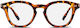 Bauman Optic Tortoise