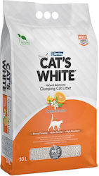 Cat's White Μπετονίτης με Άρωμα Πορτοκάλι 10lt