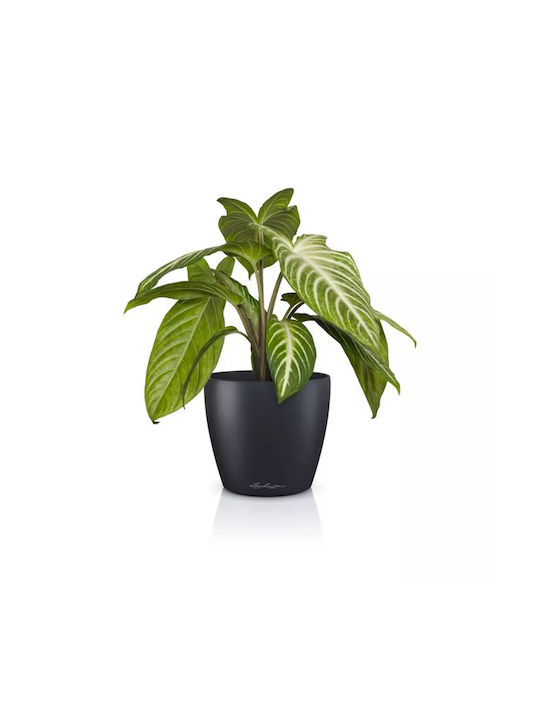 Lechuza Classico Pot Plastic Charcoal 15x15x14cm.