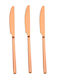 Tns Inox Pink Tafelmesser 03-950-4074 1-55915